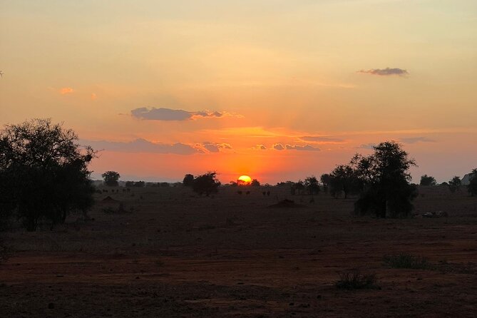 Private 3 Days Train Package Lumo Conservancy (Taita Hills) - Inclusions