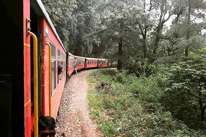 Private 6 Hrs Shimla City Tour - Pick up and Drop off