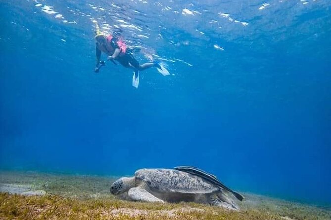 Private Abu Dabbab Dugong Bay Snorkeling Experience From Hurghada - Directions