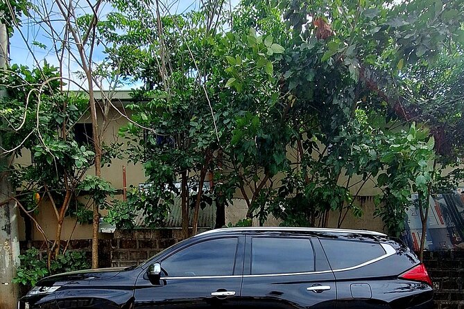 Private Airport Transfer Manila to Hotel in Manila or Vice Versa - Operating Hours