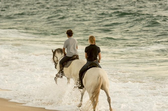 Private Alentejo Tour With Lunch and Horseback Ride Along Melides Beach - The Sum Up