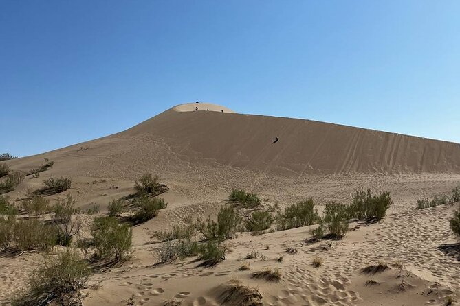 Private Altyn-Emel National Park Tour Experience - The Sum Up