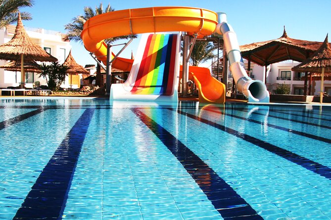 Private Aqua Park Full Day Adventure - Park Features: Slides and Wave Machine