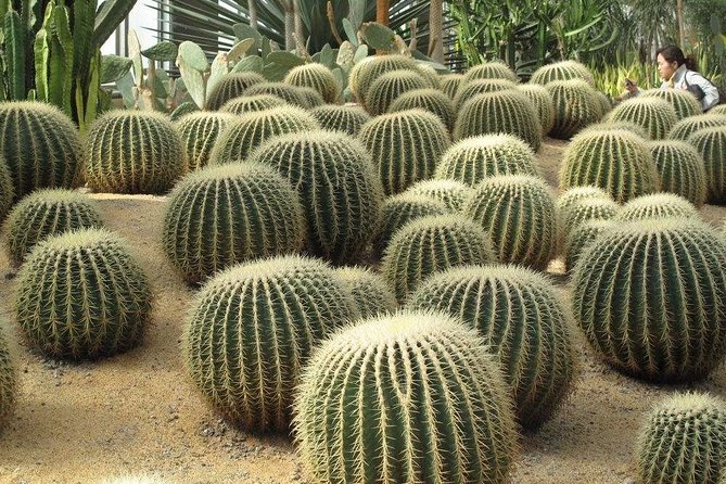 Private Beijing Tour: Temple of Azure Clouds and Botanical Garden With Lunch - Frequently Asked Questions