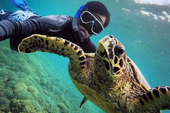 Private Boat Tour at Gili Nanggu, Secret Islands - Booking Process