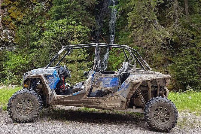 Private Buggy Vineyards Tour - Cancellation Policy Details