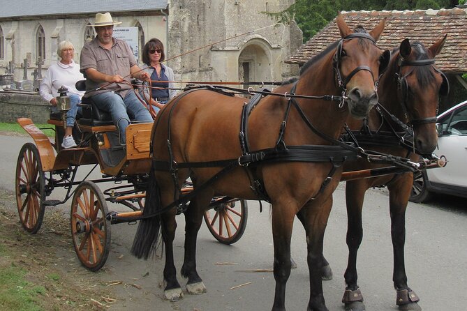 Private Carriage Ride in Saint-Pierre-Azif - Frequently Asked Questions