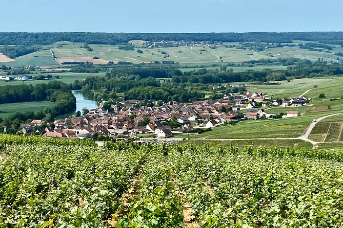 Private Champagne Pommery and Ayala Cellars Tastings Guided Tours - Group Size Variations