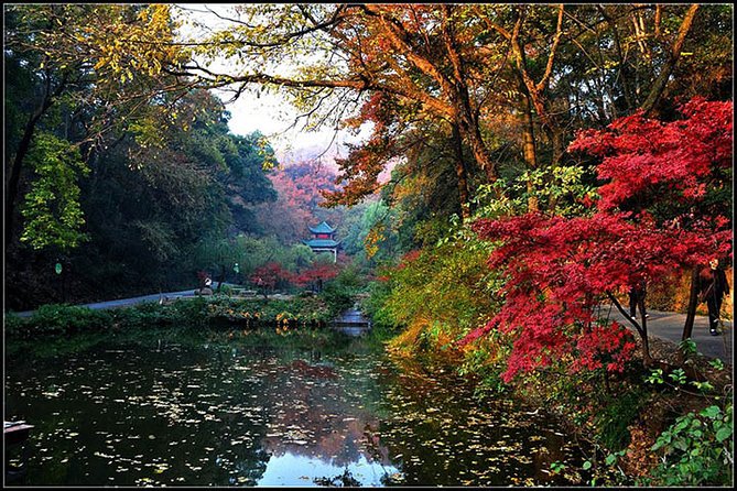 Private Changsha Historic and Cultural Tour to Provincial Museum and Yuelu Mount - Transportation Details