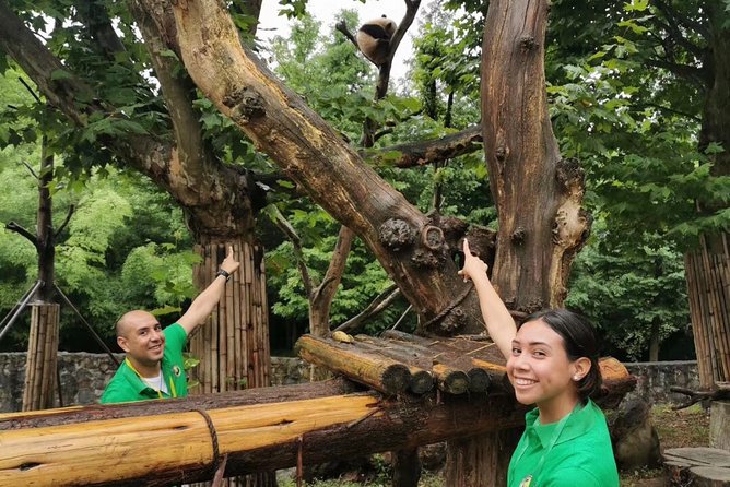 Private Chengdu Panda Volunteer and Irrigation System Tour From Suzhou by Air - Cancellation Policy