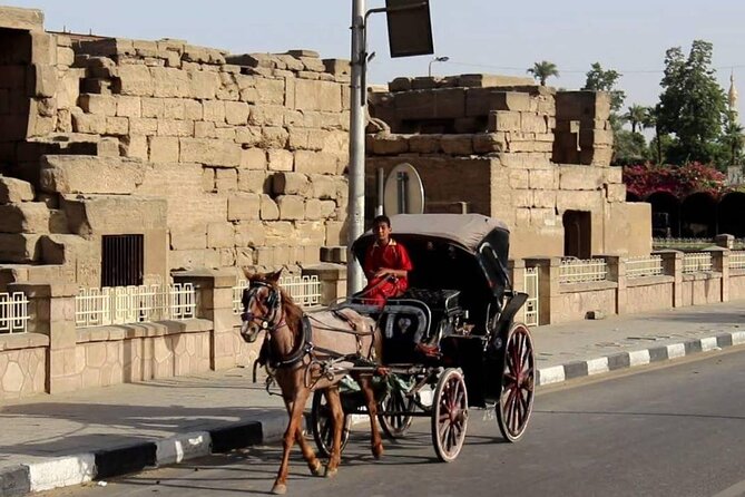 Private City Tour One Hour by Horse Carriage & 1 Hour River Nile Boat Tour-Luxor - Price and Variations