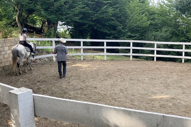 Private Cowboy Roundpen Experience in Azerbaijan - Experience Details