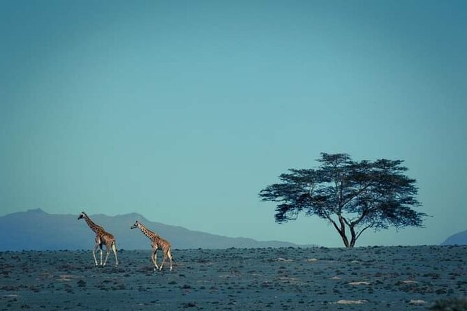 Private Crescent Island Tour and Boat Ride in Nairobi - Reservation Process
