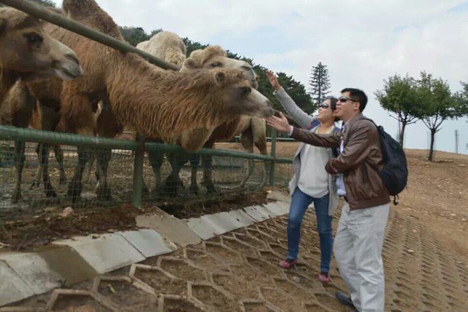 Private Day All-inclusive Tour to Longqingxia Gorge and Badaling Wildlife World - Booking Information