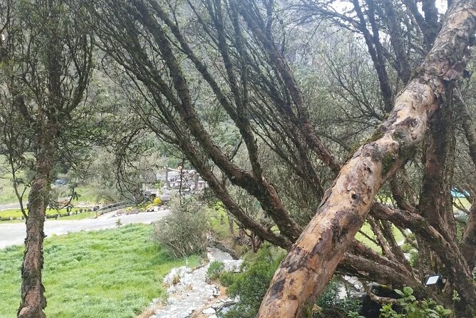 Private Day Tour in Cuenca and Cajas - Pricing and Reservation
