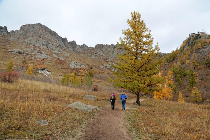 Private Day Tour: Terelj National Park and Genghis Khan Statue - Customer Reviews