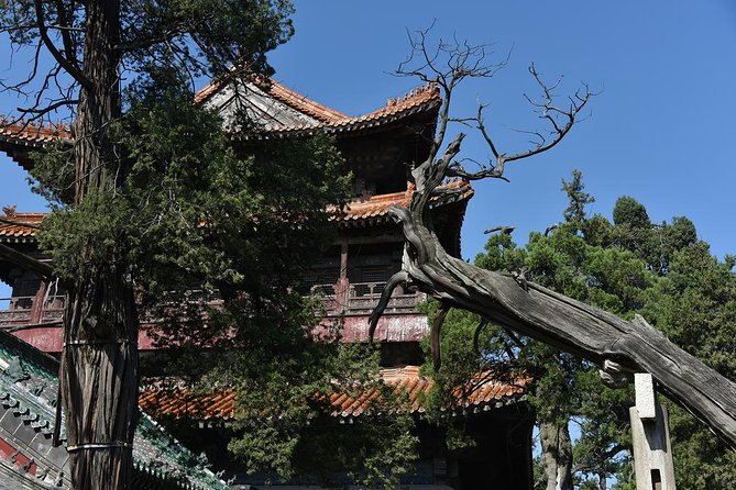 Private Day Tour to Confucius Home Town Qufu by Bullet Train From Beijing - Pricing and Guarantee