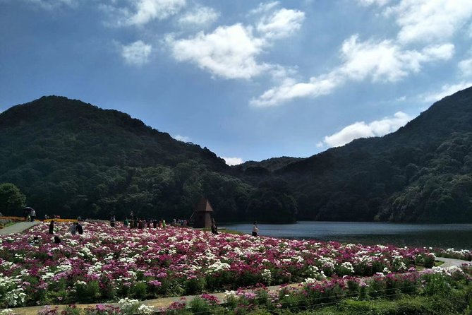 Private Day Tour to Shimen National Park From Guangzhou + Seasonal Fruit Pickup - Cancellation Policy