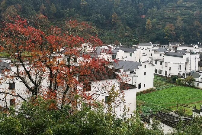 Private Day Tour to Wuyuan Huangling and Likeng Villages From Tunxi in Huangshan - Gratuities and Booking Details