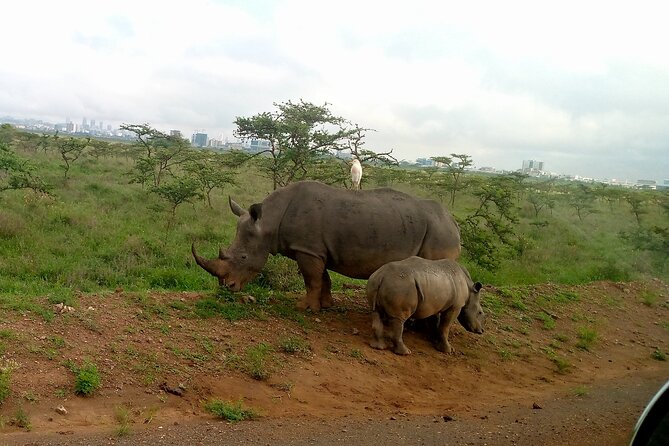 Private Day Trip in Lake Nakuru Safari - Pricing Details and Booking Options