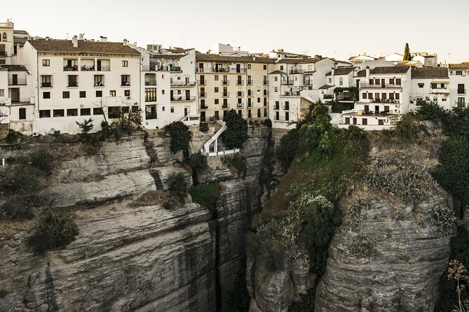 Private Day Trip to Malaga From Seville With a Local - Additional Info