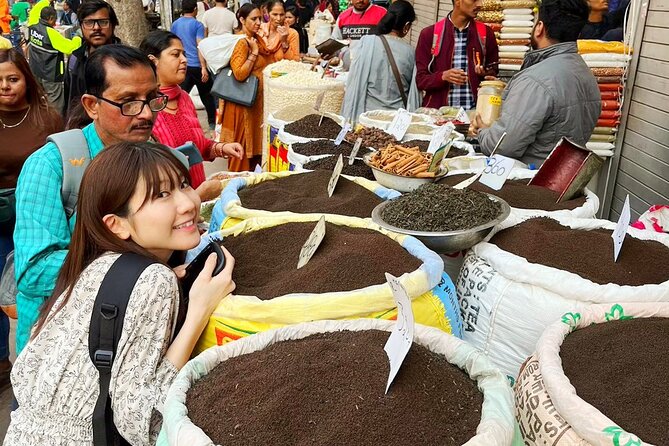 Private Delhi City Full-Day Tour - Accessibility and Group Size