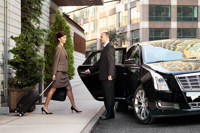 Private Departure Transfer From Aswan Airport - Meeting and Pickup Points