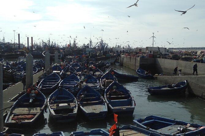 Private Essaouira Day Trip From Marrakech - Booking Information