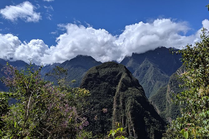 Private Exclusive 4 Day Inca Jungle Trek Adventure - Traveler Testimonials