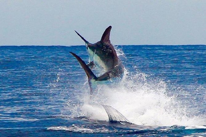 Private Fishing Trip Morning – Hurghada - Cancellation Policy and Guarantee