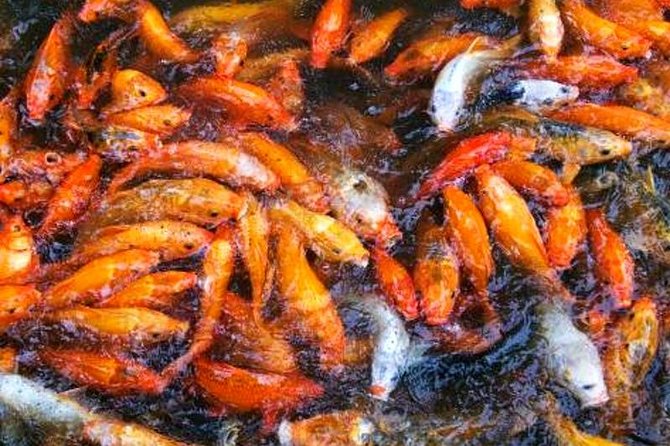 Private Flexible Shanghai Layover Tour of Old and New Highlights - Cancellation Policy