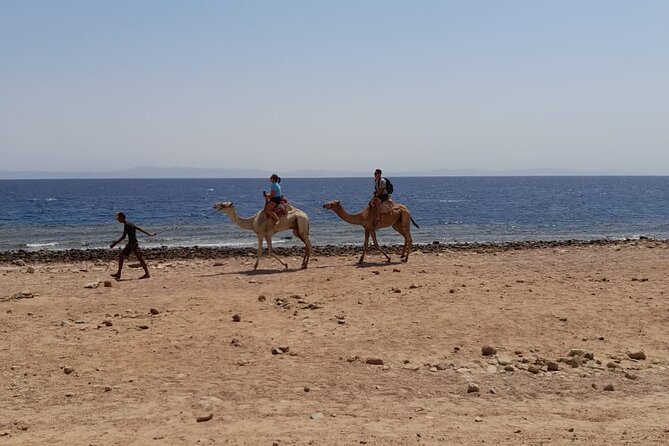 Private Full Day In Dahab From Taba Snorkel & Camel Ride With Lunch - Optional Activities Available
