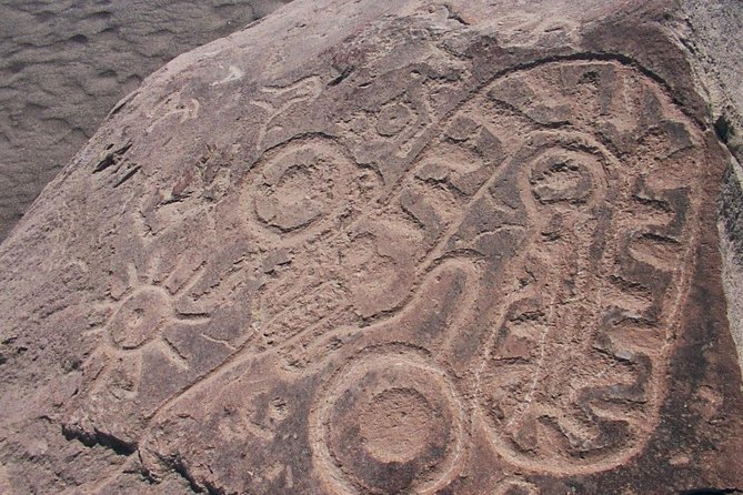 Private Full Day: Majes, Toro Muerto and Dinosaur Footprints. From Arequipa - Tourism Guide