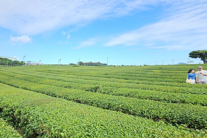 Private Full-Day Package Tour - West & South of Jeju Island - Additional Information