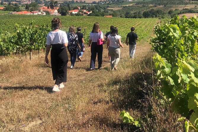 Private Full Day Setubal & Arrabida Wine Tour With Lunch - Lisbon - Additional Information