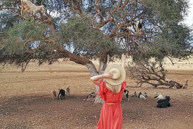 Private Full Day Tour to Essaouira Mogador From Marrakech - Booking Information