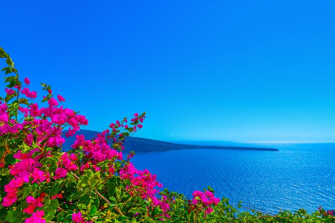 Private Full Day Tour With Wine Tasting in Santorini - Booking Process and Options
