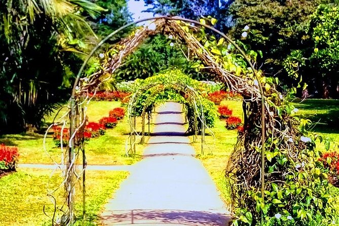 Private Fun Tour With Sri Lankan Boy (2 Days) - Pricing and Group Size