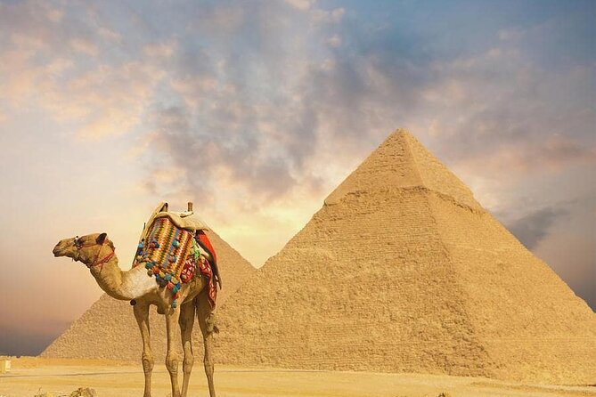 Private Guided Day Tour to Giza Pyramids by Camel From Cairo - Pricing Information