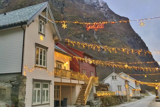 PRIVATE GUIDED TOUR: Sketches of Norway – Gudvangen and Stegastein, 12.5 Hours - Pricing Information