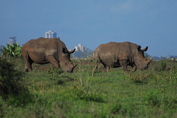 Private Half-Day Nairobi National Park and Giraffe Center Tour - Tour Details