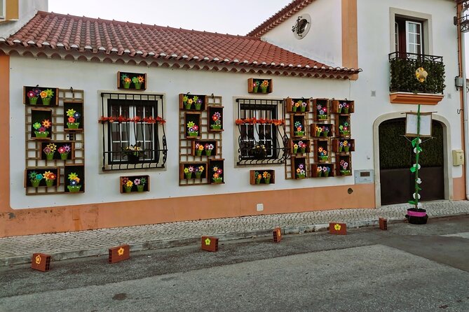 Private Half Day Tour in Lusitanian Horses and Photography Museum - Price and Group Size