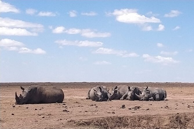 Private Half Day Tour in Nairobi National Park - Booking Details