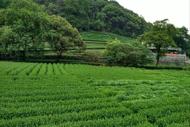 Private Hangzhou Day Tour From Shanghai - Price Details