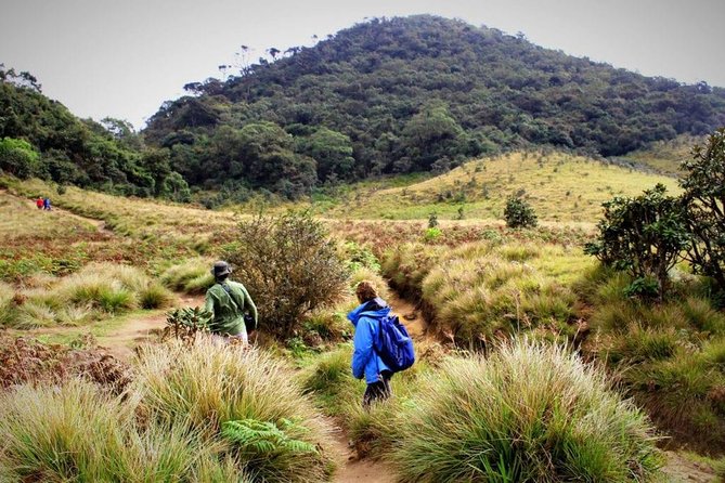 Private Hiking Tour to Kirigalpoththa Mountain via Horton Plains - Pricing and Reservation