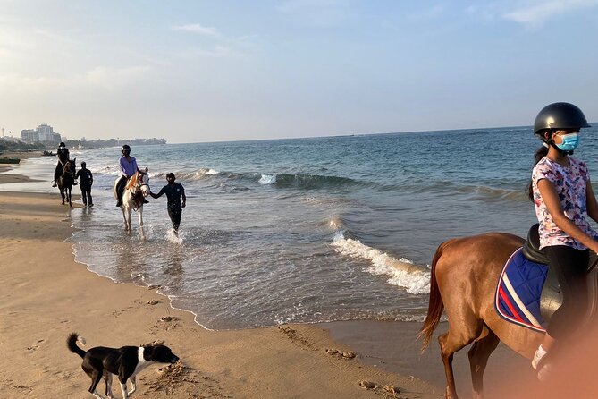 Private Horse Riding Activity in Port City