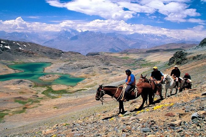 Private Horseback Riding and Wines From Santiago