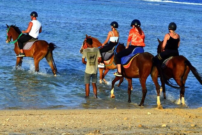 Private Horseback Riding in Marsa Alam and Port Ghalib - Sunset Horseback Riding Experience