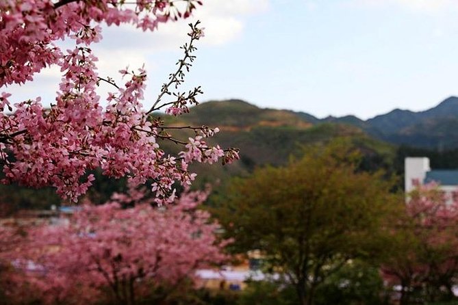 Private Layover Tour to Tianluokeng Tulou From Xiamen Airport or Cruise Port - Accessibility Details