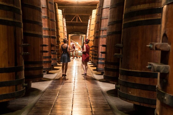 Private Maipo Valley De Luxe Wine Tour - Itinerary Highlights